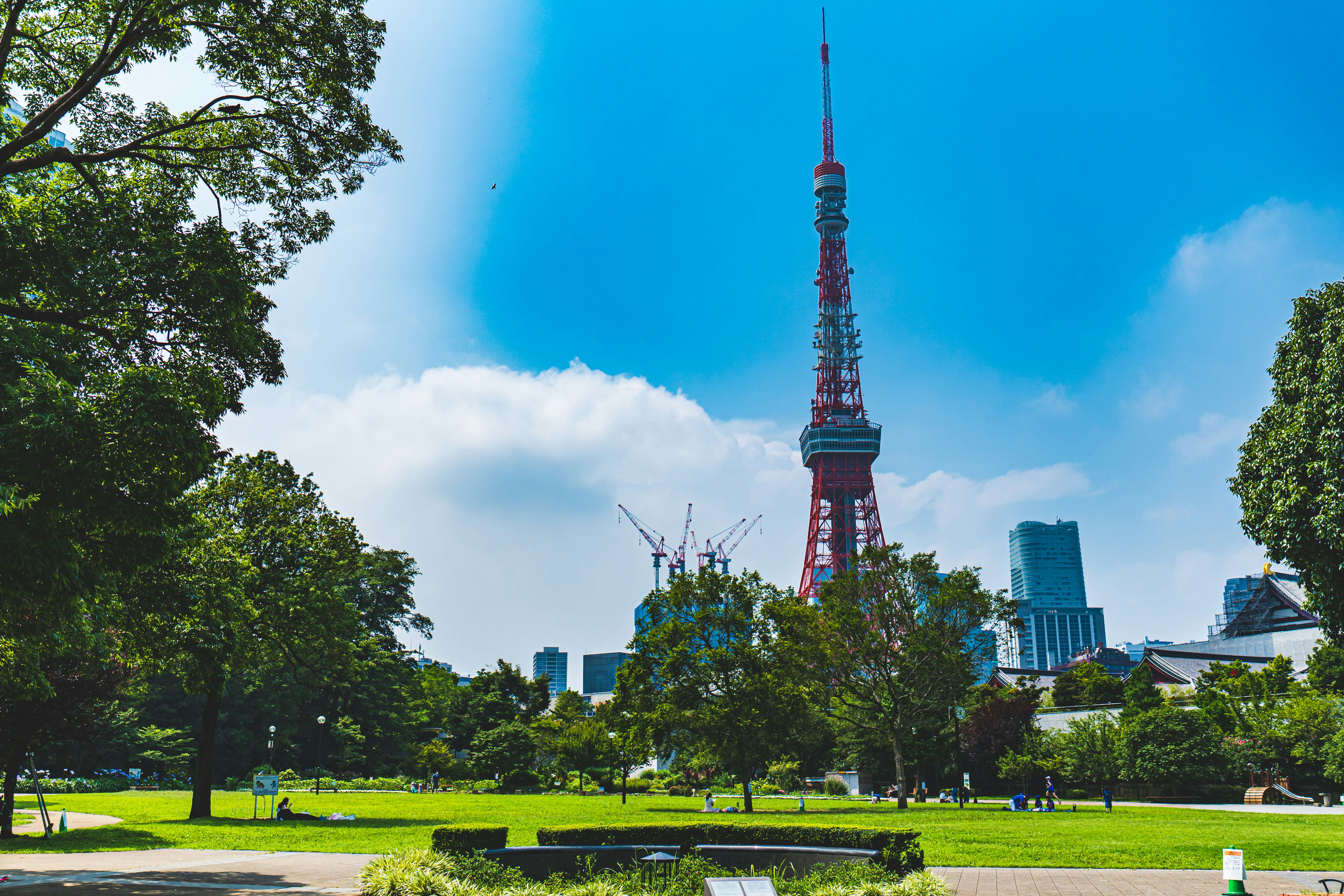 【港区・六本木エリア】（港）