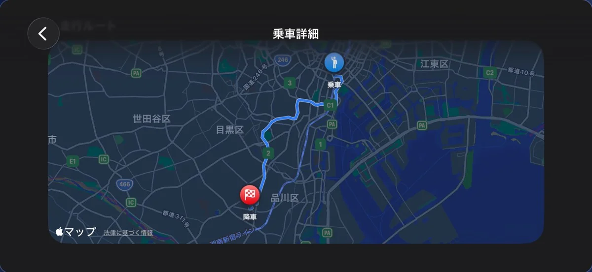 乗車詳細の走行ルート地図